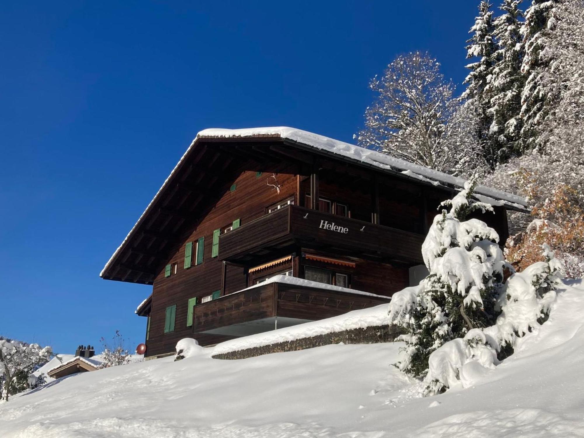 Apartment Helene Apt Diana By Interhome Wengen Exterior photo